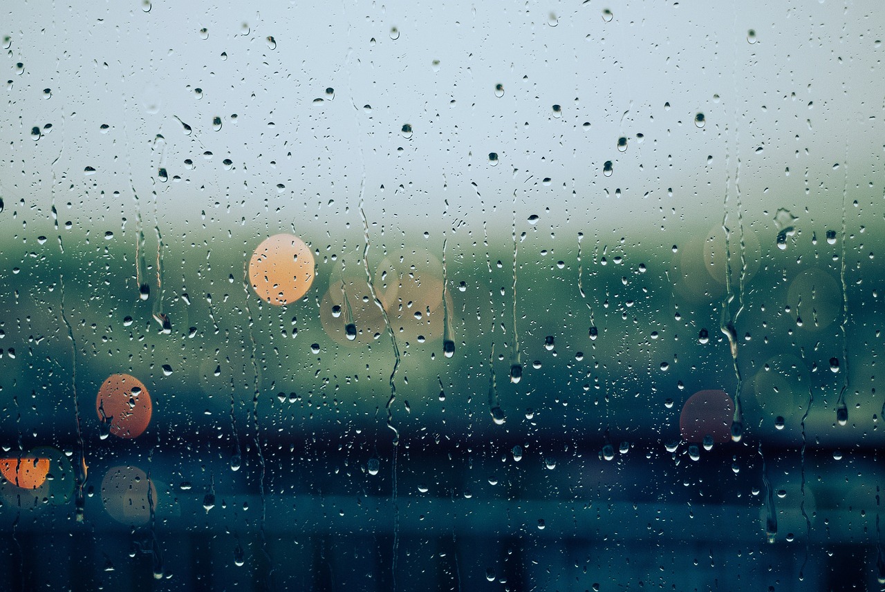비 오는 날 (a rainy day)