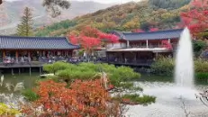 화담숲 사진 명소 시간대별 촬영 완벽 가이드