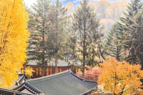 남양주 묘적사 : 자연과 불교문화가 함께 숨쉬는 도량 비밀스러운 승군 훈련지와 천년의 고요가 머무는 힐링 사찰