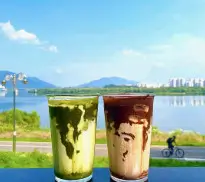 카페 트윈트리