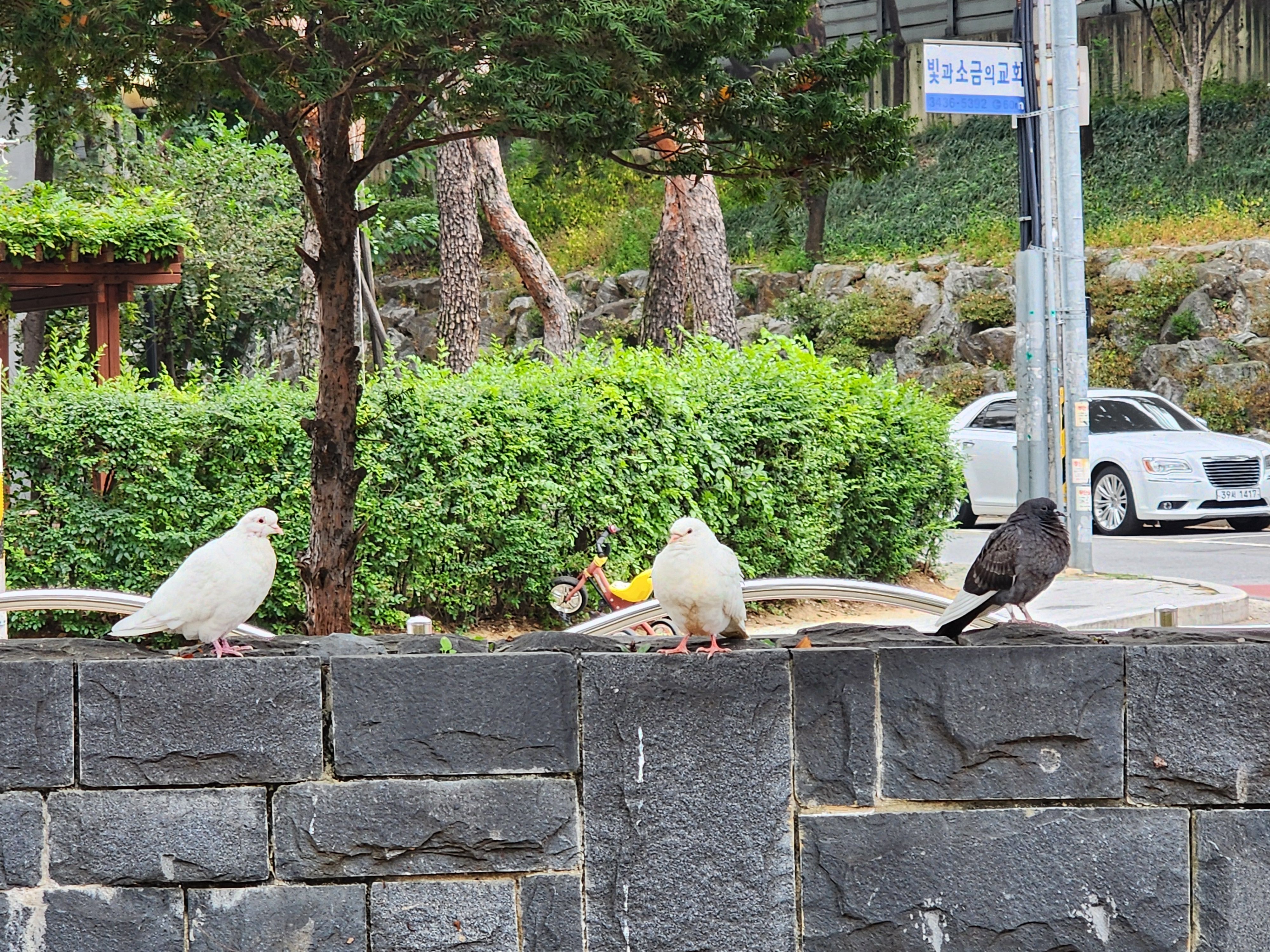 Alt 속성 문제 해결 설명 이미지