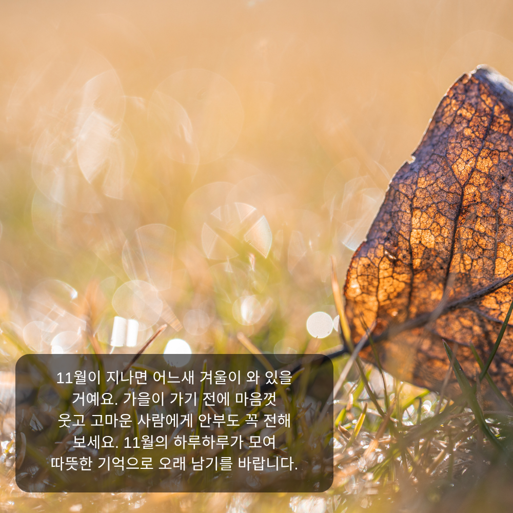 11월 인사말 30 겨울 오기 전 11월 마지막 인사말 이미지