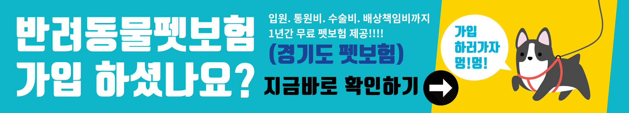 경기도 입양동물 무료 펫보험 지원서비스