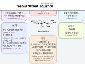 이노시톨