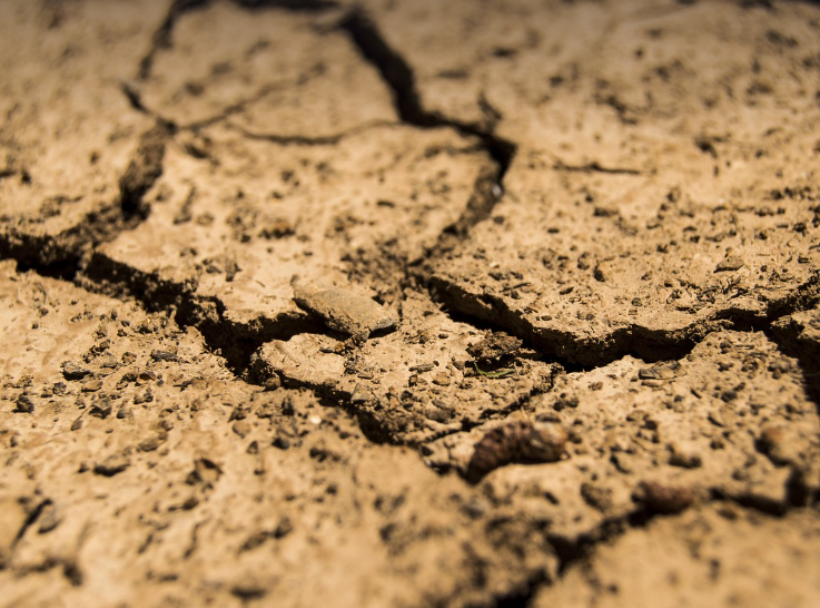 물과 생명을 잃어가는 땅, 토양오염이 남긴 침묵의 경고
