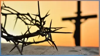 사순절 대표기도문 묵상집 모음_17