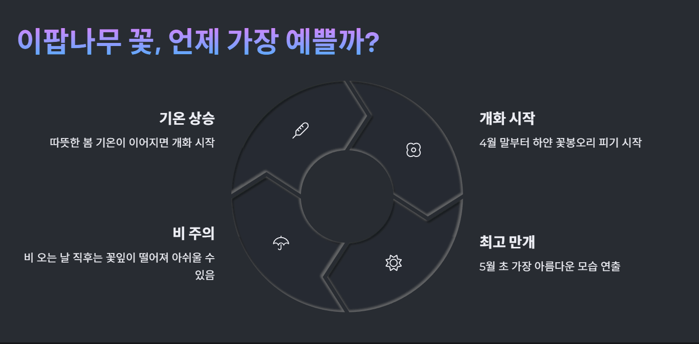 이팝나무 꽃, 언제 가장 예쁠까?
