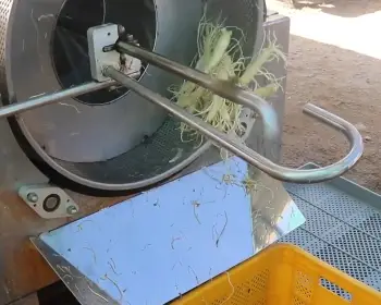 풍기 인삼축제_14