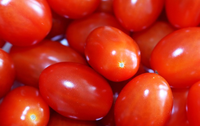토마토 보관방법 꿀팁 19