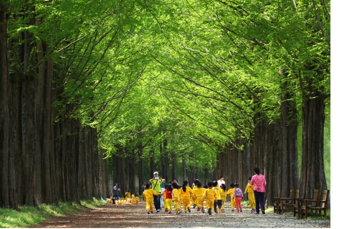 자연 치유를 통한 정신 건강 회복: 우울증과 불안 완화 사례 연구