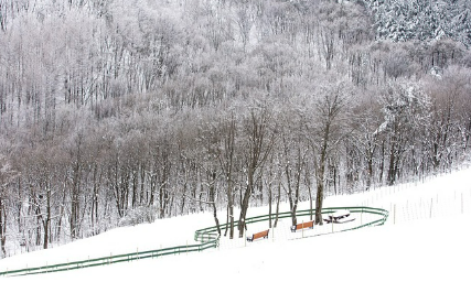 눈꿈 상황별 해몽