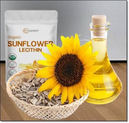 해바라기레시틴 보충제