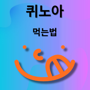 퀴노아 먹는법