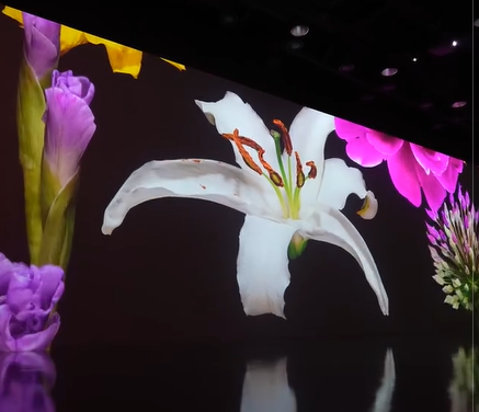 가을단풍명소-화담숲-절경