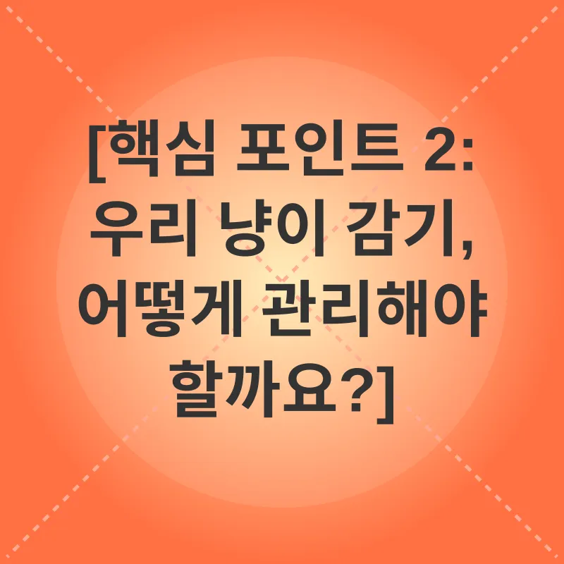 고양이 감기_2