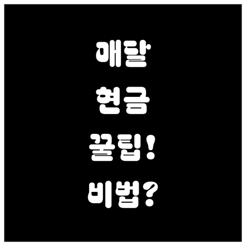 분기별 배당 현금 흐름 만드는 투자 ..
