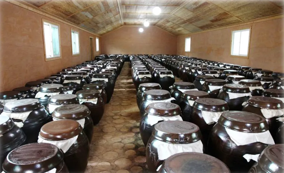 매실 재배 적과 타이밍 병충해 방제 수확 저장_6