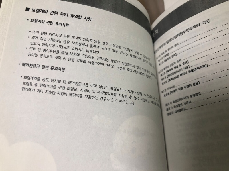 보험약관-보험계약-주의사항