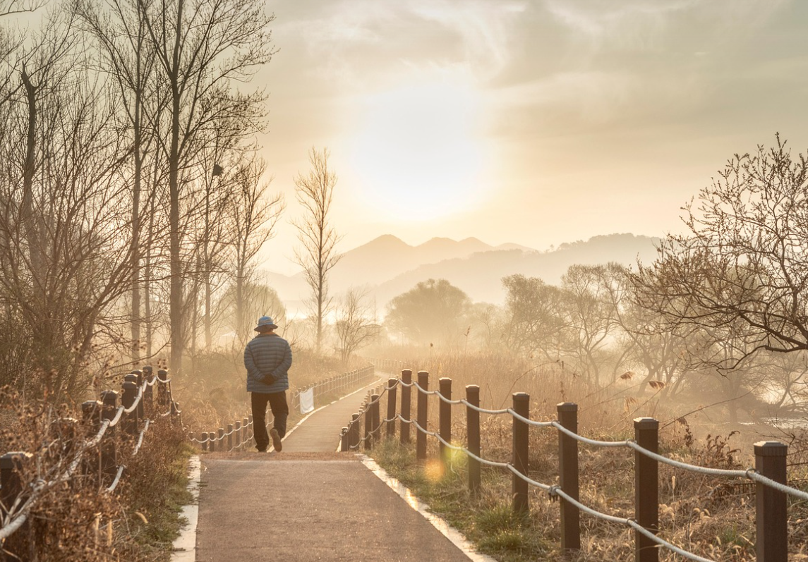 어르신 산책