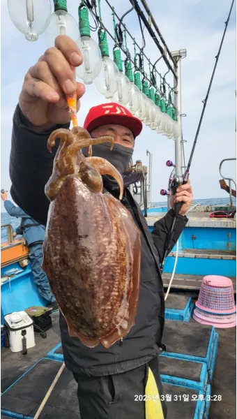 갑오징어 제철 시기 요리 레시피 황금레시피_22