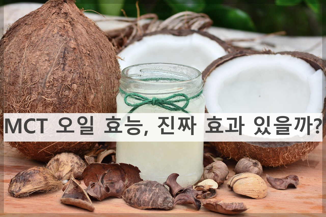 MCT 오일 효능, 진짜 효과 있을까?