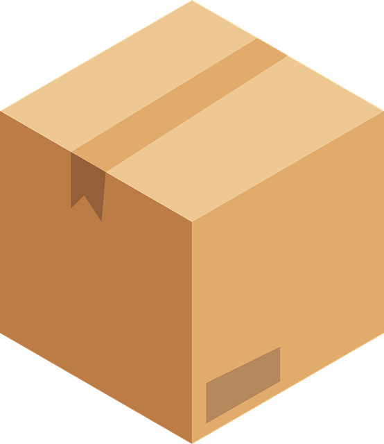 셀프이사 vs 포장이사