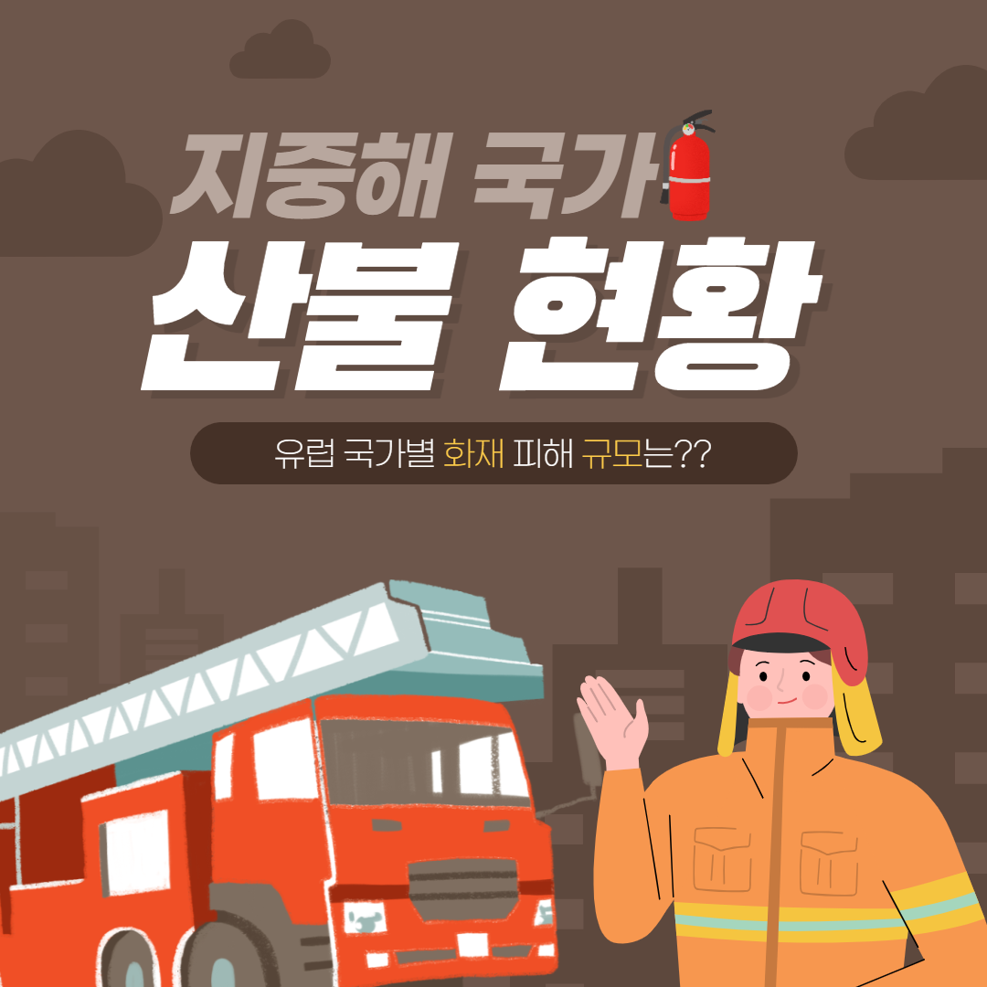 <대표사진>