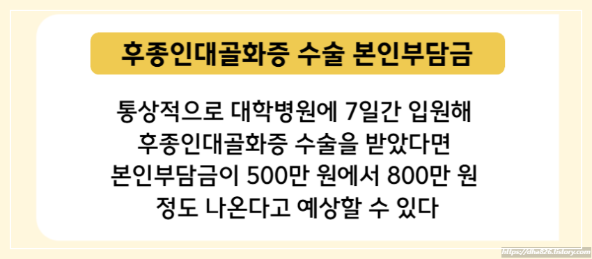후종인대골화증 수술 본인부담금