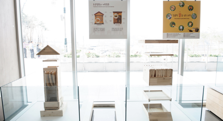 꿀벌나라 테마공원