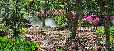 제주스누피가든