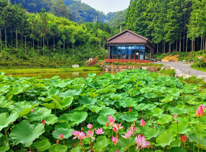 옥천 화인산림욕장