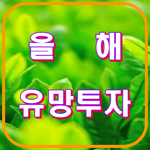 올해유망주식