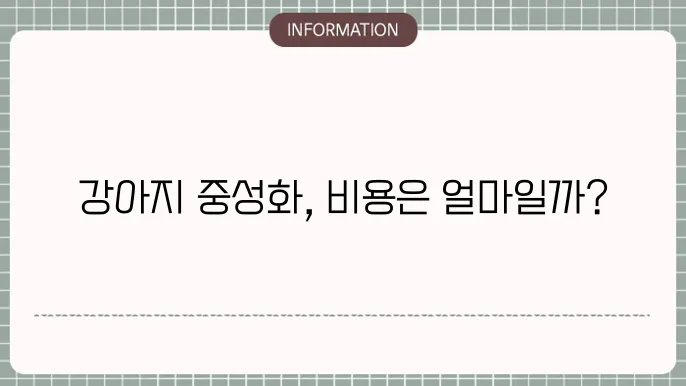 강아지 중성화 수술 경험 공유