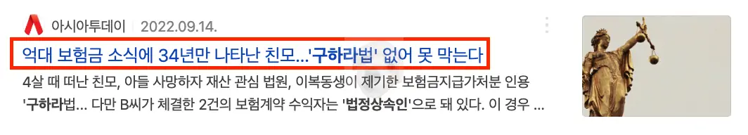 구하라법 관련 뉴스 2