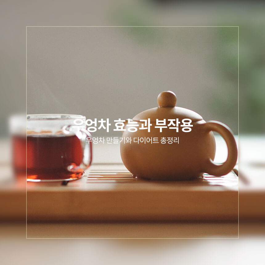 우엉차 효능과 부작용, 다이어트 효과