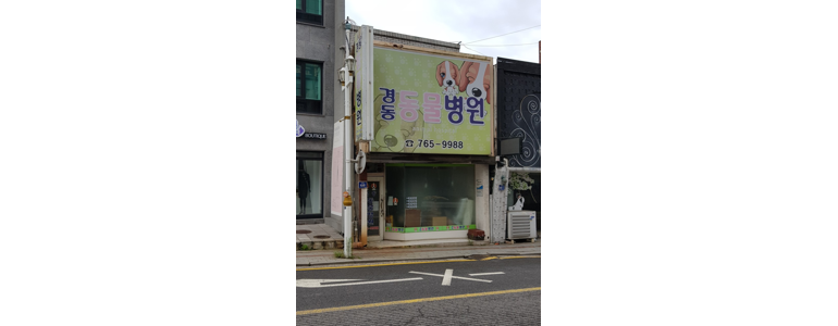 인천 중구 동물병원