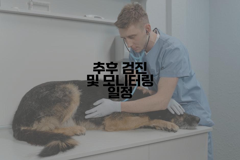 추후 검진 및 모니터링 일정