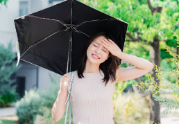 햇빛