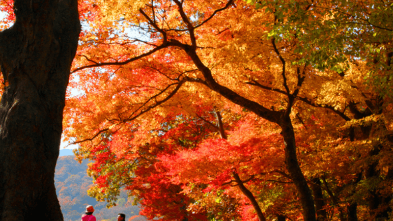 고창 가볼만한곳 베스트10