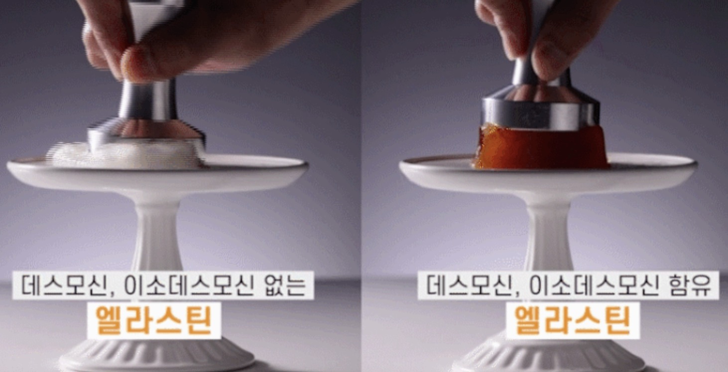 말-엘라스틴-콜라겐-효능-특징