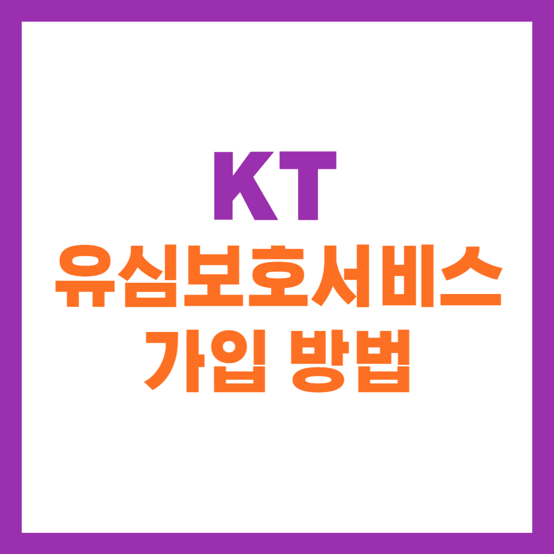 KT 유심보호서비스 가입