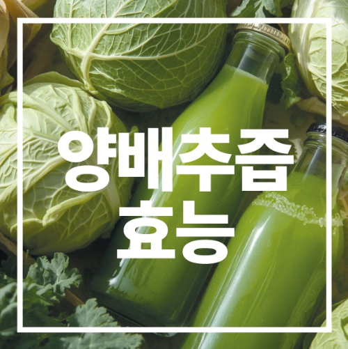 양배추즙의 효능