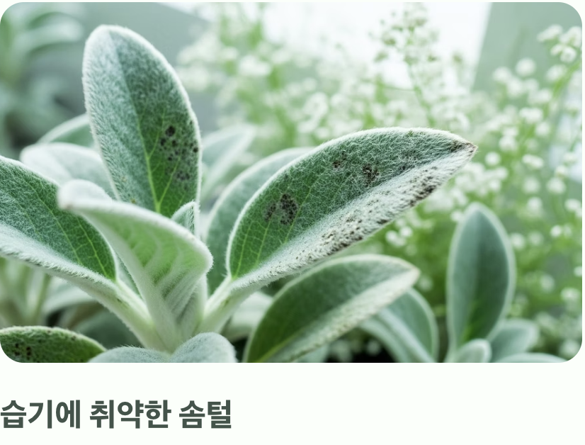 실수 둘: 답답한 환경, '통풍' 불량