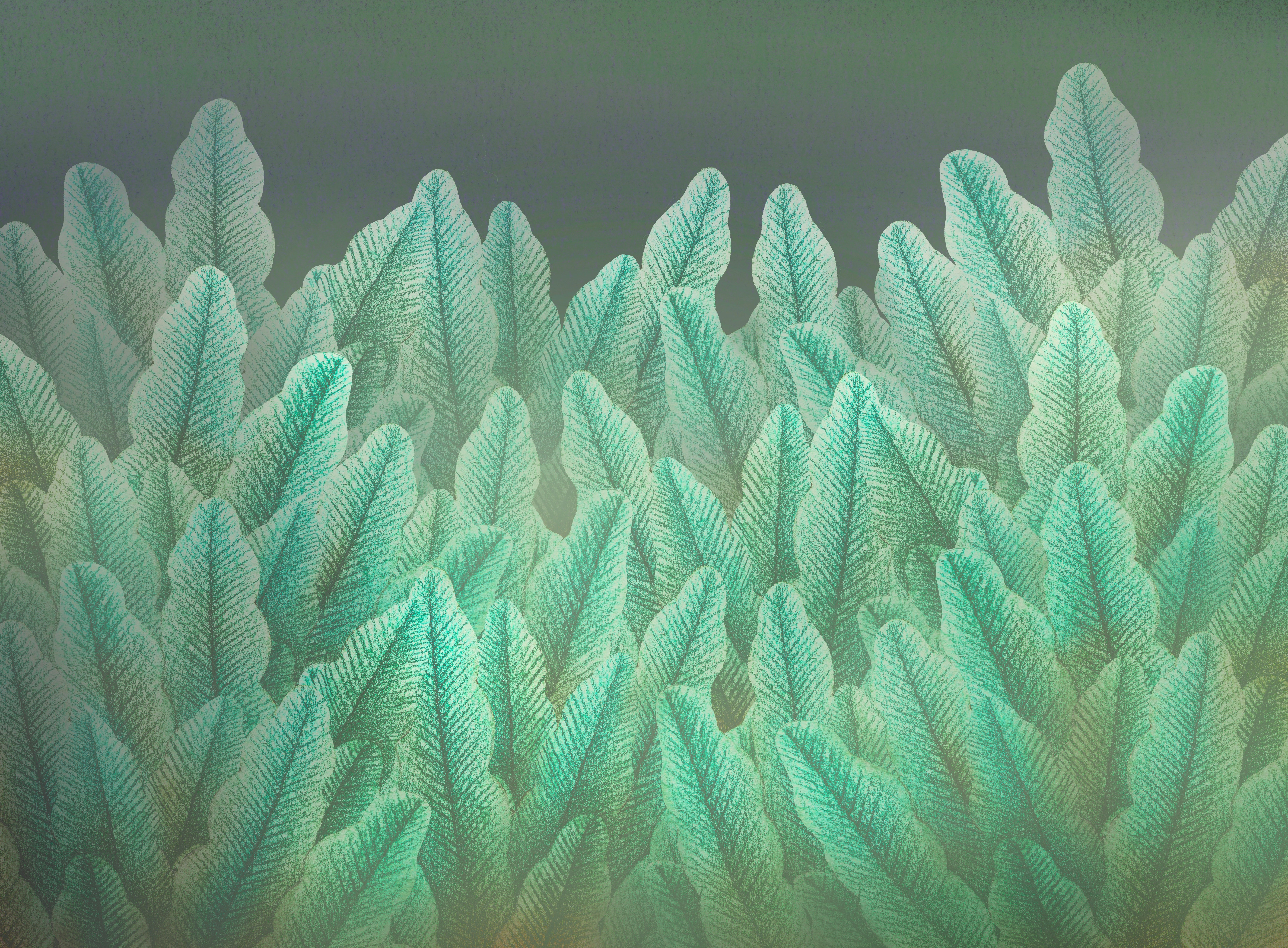 오행과 인간의 삶