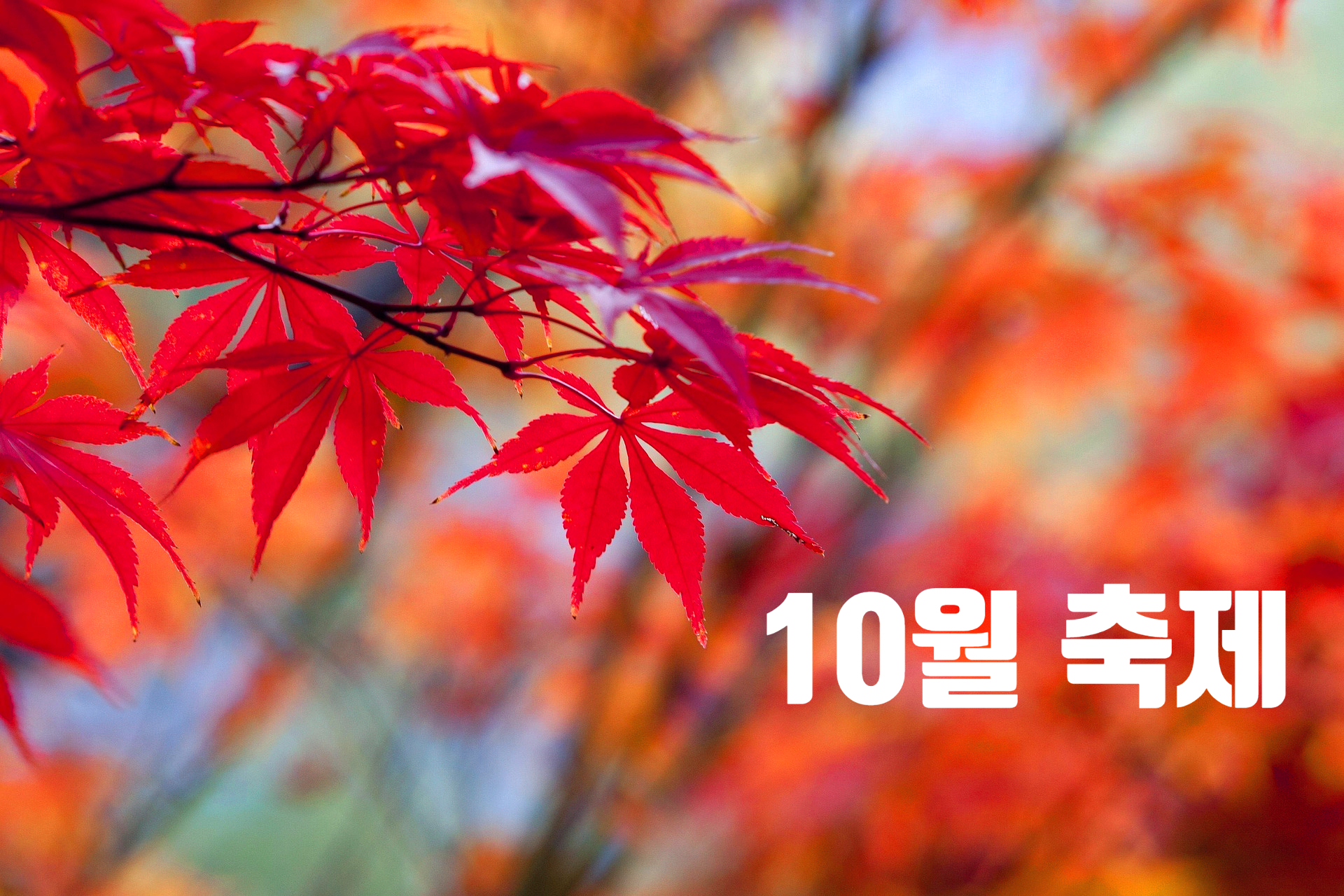 10월축제