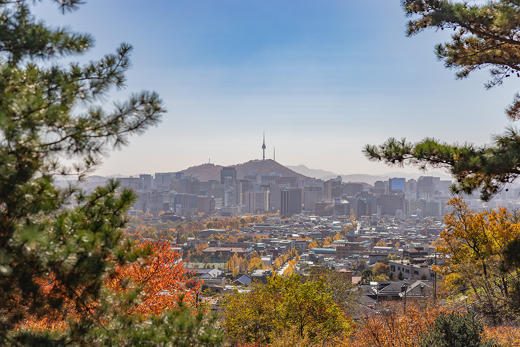 남산타워
가을 남산타워
백악산
