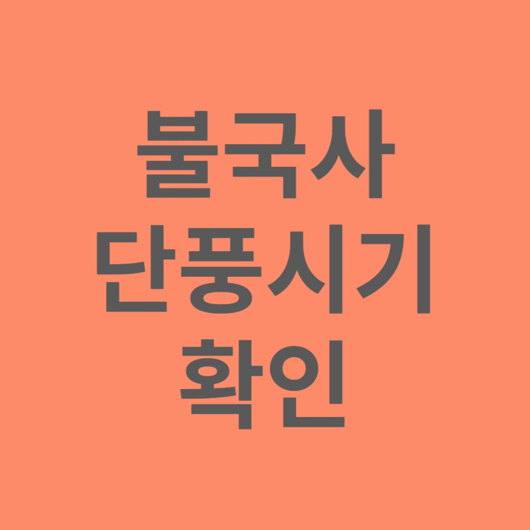 불국사 단풍