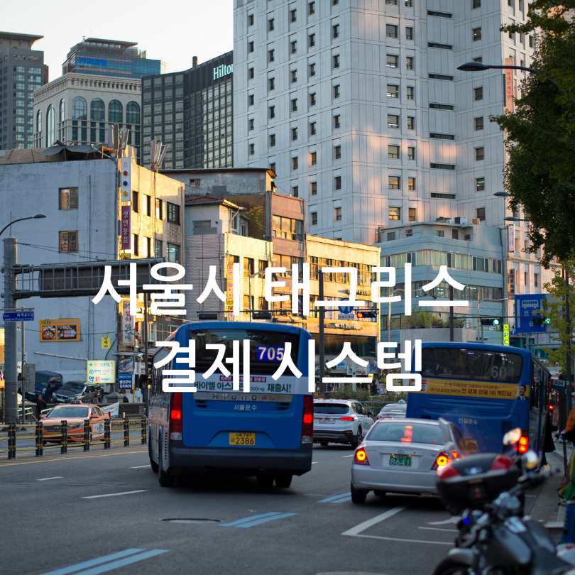 서울시 버스 태그리스 결제 도입! 설정 방법부터 장단점