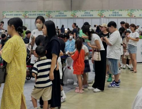 대한민국 펫캉스