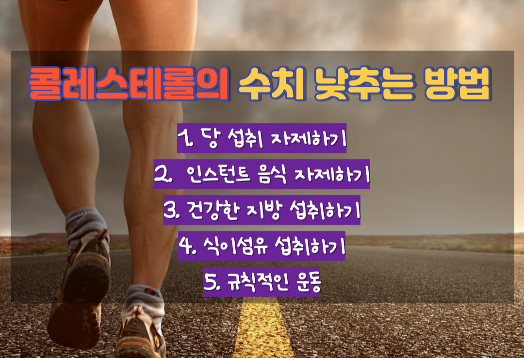 콜레스테롤 수치 낮추는 방법